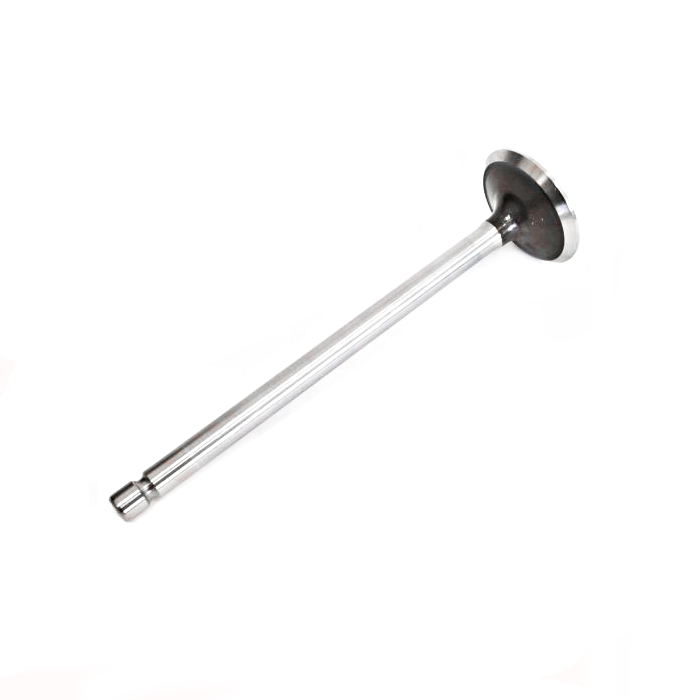 VALVE KIT EXHAUST - 3803528