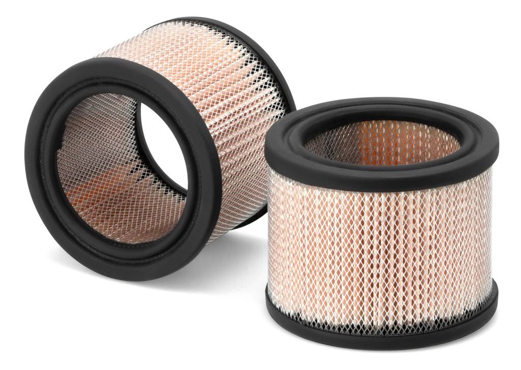 AIR FILTER-PRIMARY - AF381