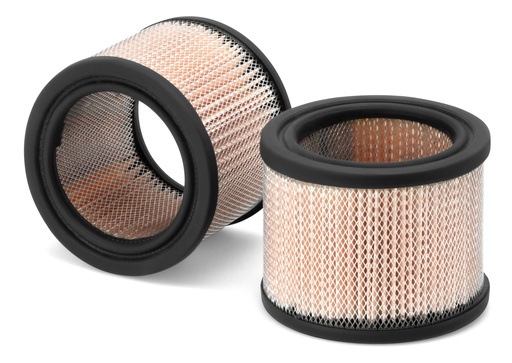 [AF381] AIR FILTER-PRIMARY - AF381